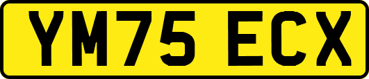 YM75ECX