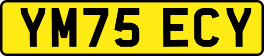 YM75ECY