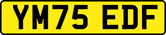 YM75EDF