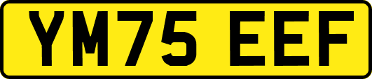 YM75EEF