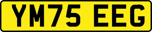 YM75EEG