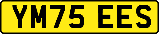 YM75EES