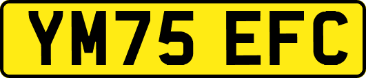 YM75EFC