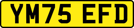 YM75EFD