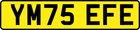 YM75EFE