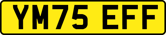 YM75EFF
