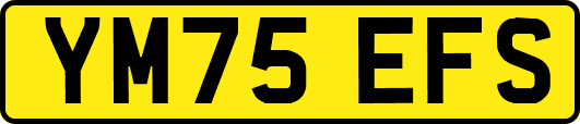 YM75EFS