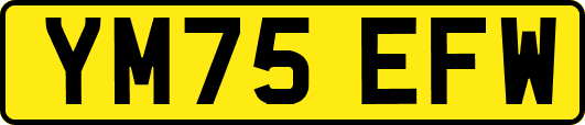 YM75EFW
