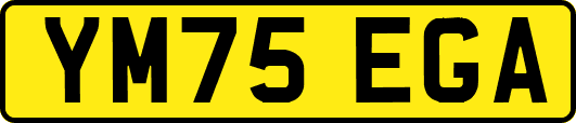YM75EGA