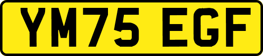 YM75EGF
