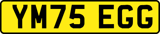 YM75EGG