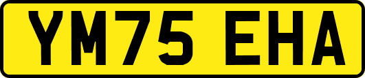 YM75EHA