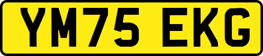 YM75EKG