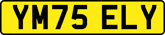 YM75ELY