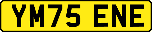 YM75ENE