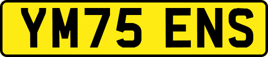 YM75ENS
