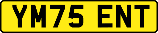 YM75ENT