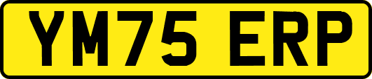 YM75ERP