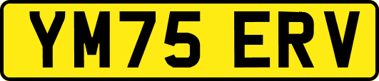 YM75ERV