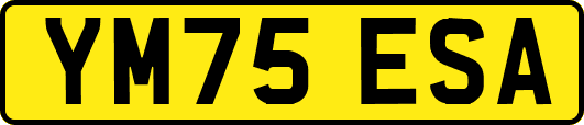 YM75ESA