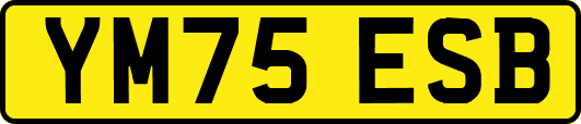 YM75ESB