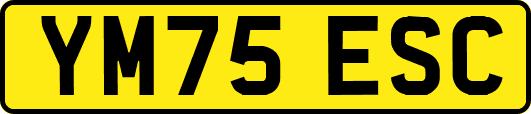 YM75ESC