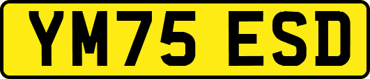 YM75ESD