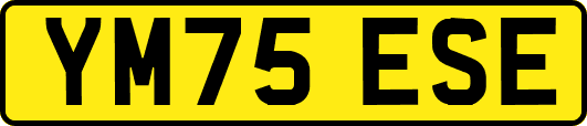 YM75ESE