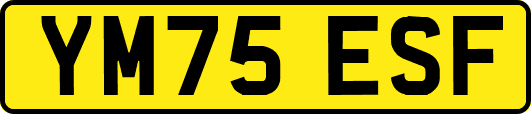 YM75ESF
