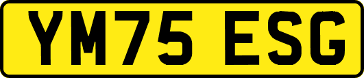 YM75ESG