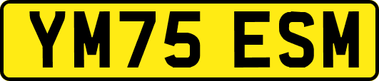 YM75ESM
