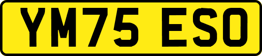 YM75ESO