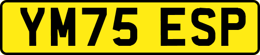 YM75ESP