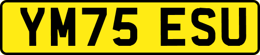 YM75ESU