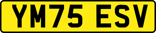 YM75ESV