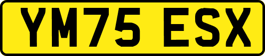 YM75ESX