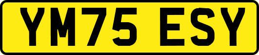 YM75ESY