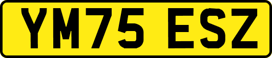 YM75ESZ