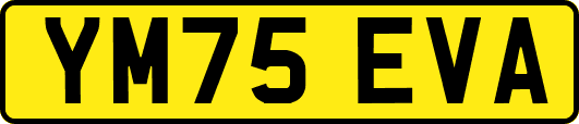 YM75EVA