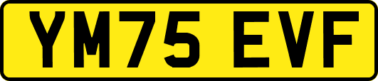 YM75EVF