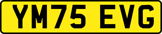 YM75EVG