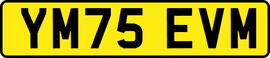 YM75EVM