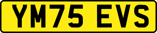 YM75EVS