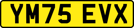YM75EVX