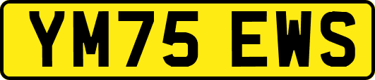 YM75EWS