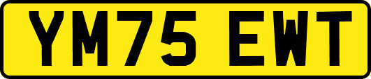 YM75EWT