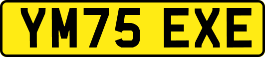 YM75EXE