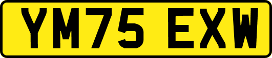 YM75EXW