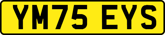 YM75EYS