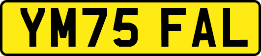 YM75FAL